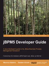 jBPM5 Developer Guide