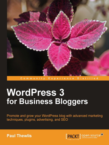 WordPress 3 for Business Bloggers