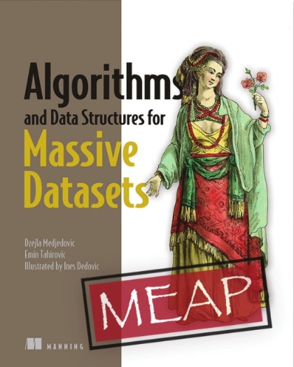 Algorithms and Data Structures for Massive Datasets MEAP Edition