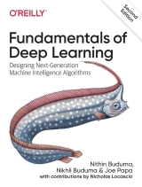 Fundamentals of Deep Learning 2nd Edition