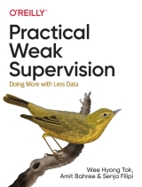 Practical Weak Supervision