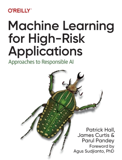 Machine Learning for High-Risk Applications