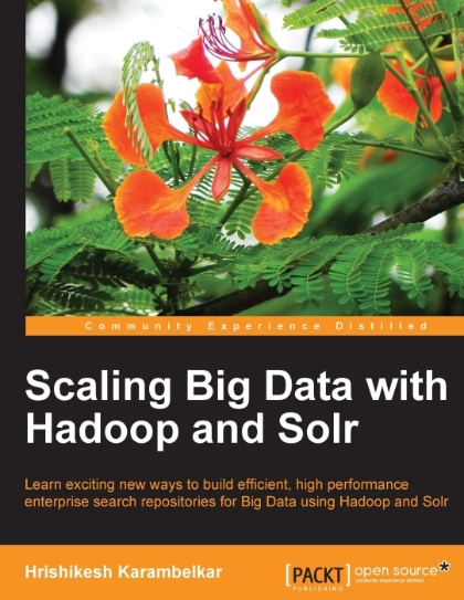 Scaling Big Data with Hadoop and Solr