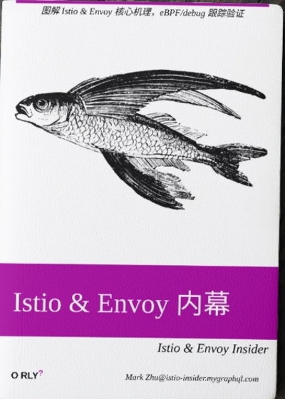 Istio and Envoy 内幕