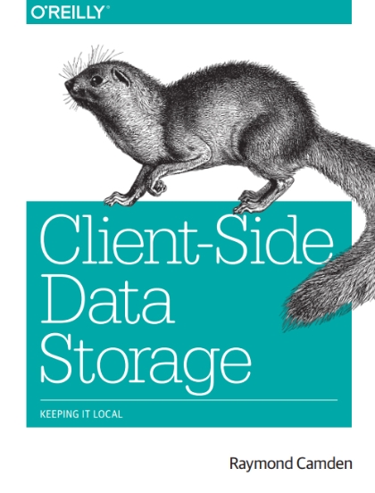 Client-Side Data Storage