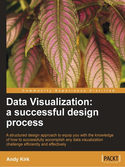 Data Visualization: a successful design process